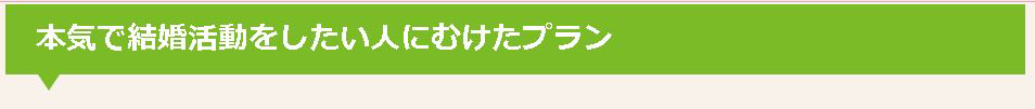 婚活料金